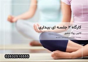 کارگاه های ۲ جلسه ای با موضوعات عملکردی و تجربه گرا - بیداری