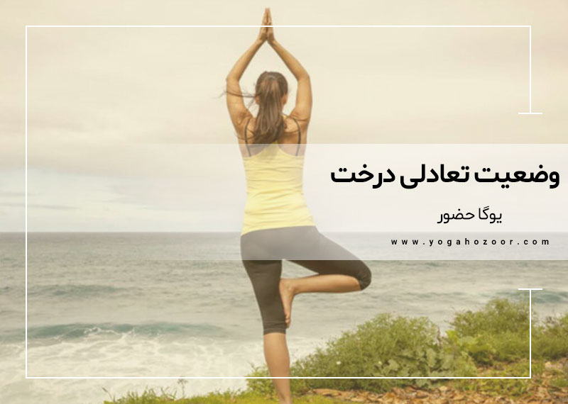 وضعیت تعادلی درخت